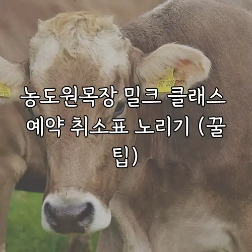 농도원목장 밀크 클래스 예약 취소표 노리기 (꿀팁)