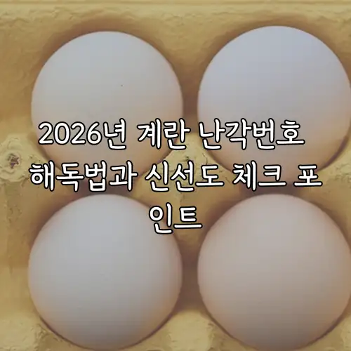 2026년 계란 난각번호 해독법과 신선도 체크 포인트