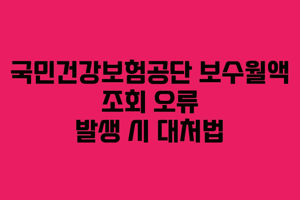 국민건강보험공단-보수월액-조회-오류-발생-시-대처법