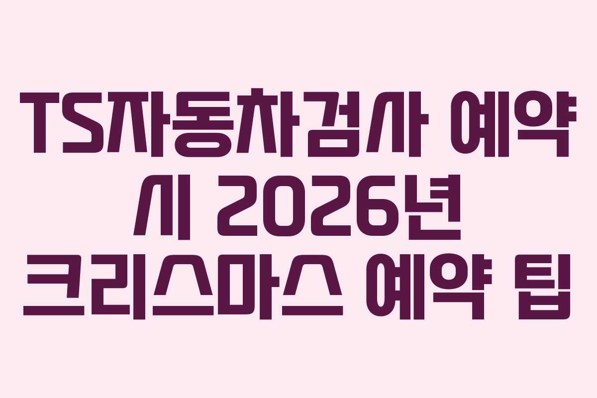 TS자동차검사-예약-시-2026년-크리스마스-예약-팁