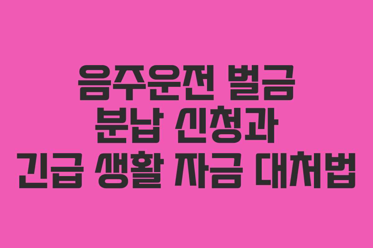음주운전-벌금-분납-신청과-긴급-생활-자금-대처법
