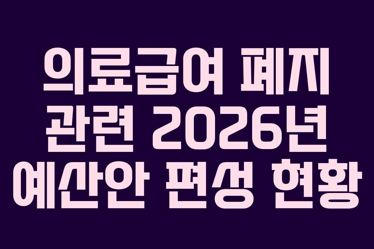 의료급여-폐지-관련-2026년-예산안-편성-현황