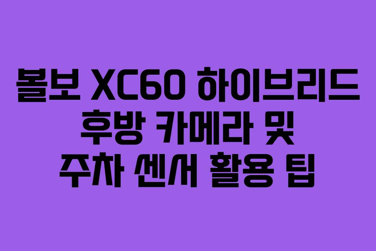 볼보-XC60-하이브리드-후방-카메라-및-주차-센서-활용-팁