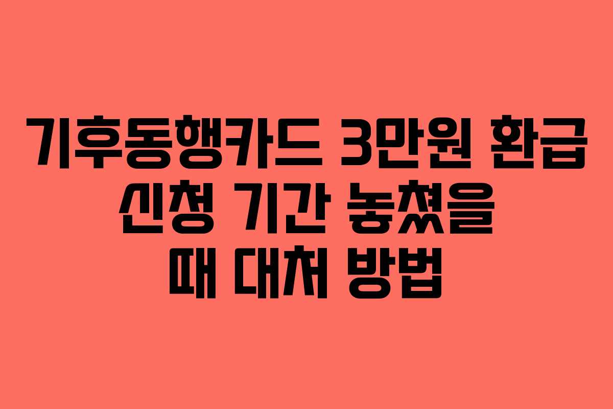 기후동행카드-3만원-환급-신청-기간-놓쳤을-때-대처-방법