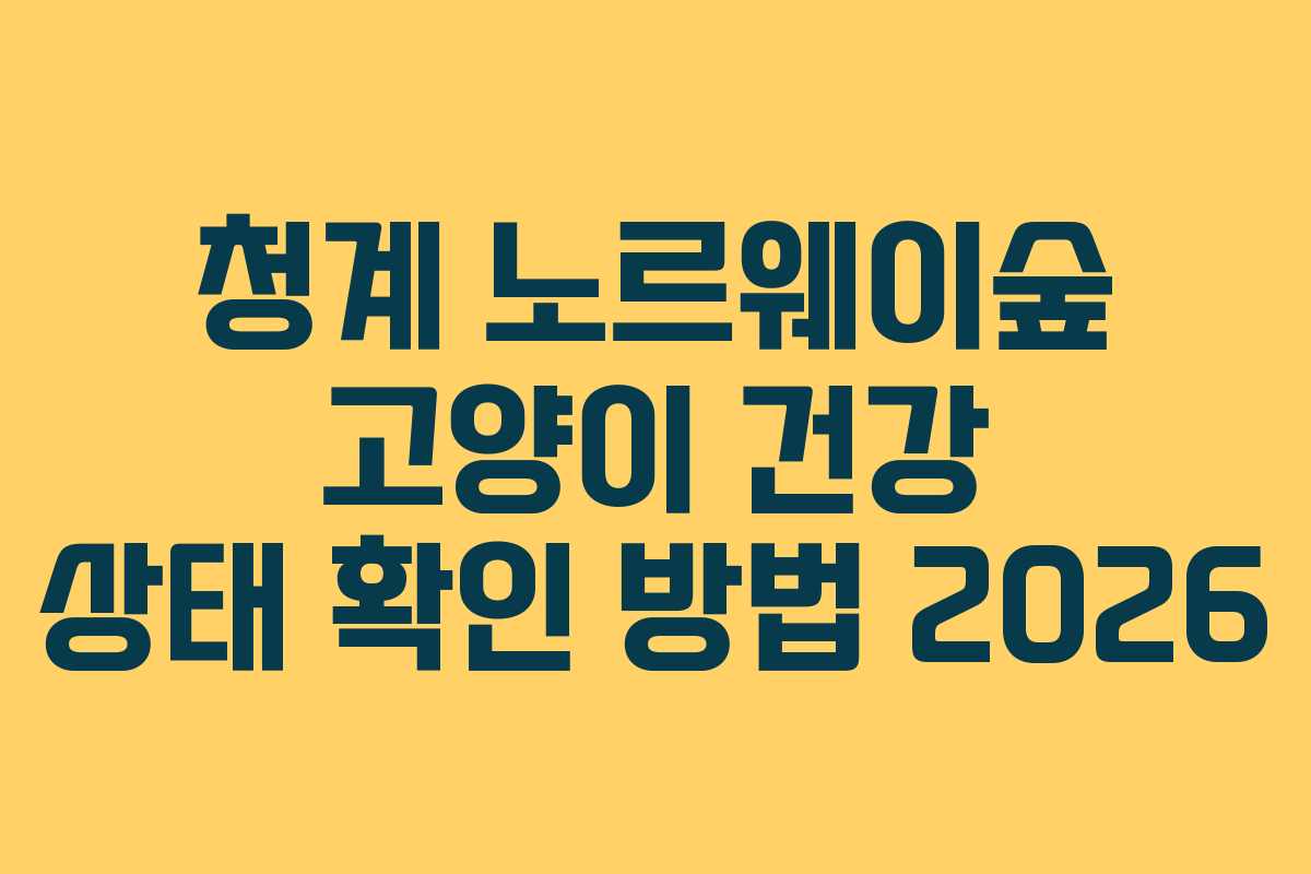 청계-노르웨이숲-고양이-건강-상태-확인-방법-2026