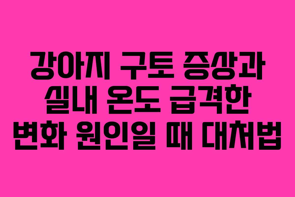 강아지-구토-증상과-실내-온도-급격한-변화-원인일-때-대처법